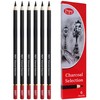 Pepy Professional Soft Charcoal Pencil Set – Set of 6
