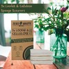 ZERO WASTE WORLD Natural sponge -eco friendly washing up sponges,