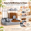 2-in-1 Gravity Pet Feeder and Water Dispenser Bowl for Cats