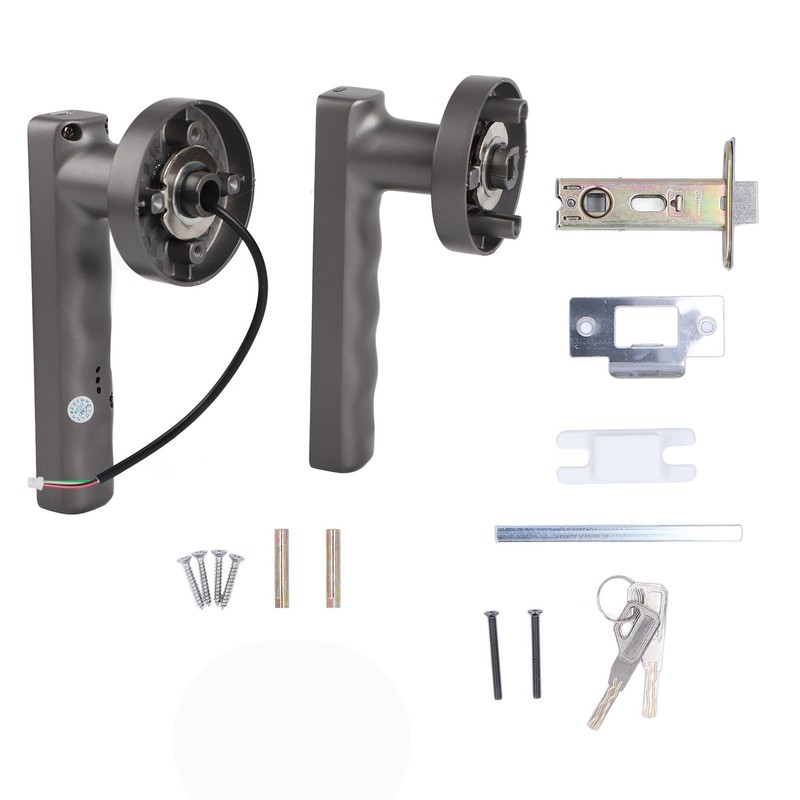 Smart Door Handle Fingerprint with 2 Key Fast Recognition Static