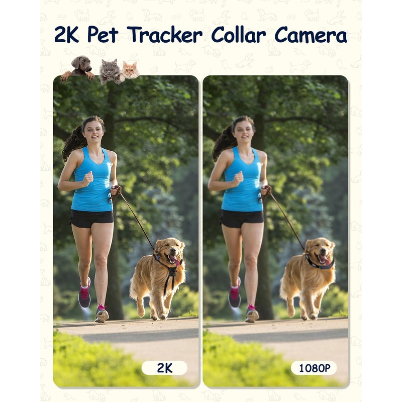 Camlance 2K Pet Collar Camera with Phone App 32GB SD