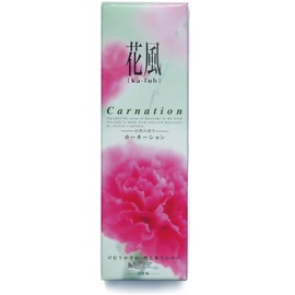 Nihon Kodo Hanaze Carnation with Small Roses