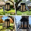 Square Crow Feeder - Hanging Whole Peanut Bird Feeder, Durable