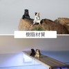 Lyyxjsltd 2pcs Fishing Sun Aquarium Ornament Aquarium Object Cute Cat