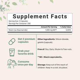 Vitamin B3 Niacinamide 500mg Per Capsule, 400 Capsules | 1,000mg Flush Free Niacin Per Serving, Essential B Vitamin Supplement | Skin Care Health & Energy Support | Non-GMO, Gluten Free