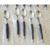 Giannini Imported Silverware 24 piece blu stainless steel set. Retails