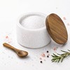 Vorisebo Marble Salt Cellar with Lid & Spoon, Salt Container,