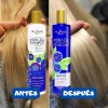 Duo Nekane Shampoo Y Mascarilla Mora Azul Matizante