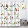 Bonhause Bird Shower Curtain, Colorful Birds on Tree Branch Bathroom