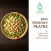 U'reca Organics Eco-Friendly Palm Leaf Plates | 13" Round Flat