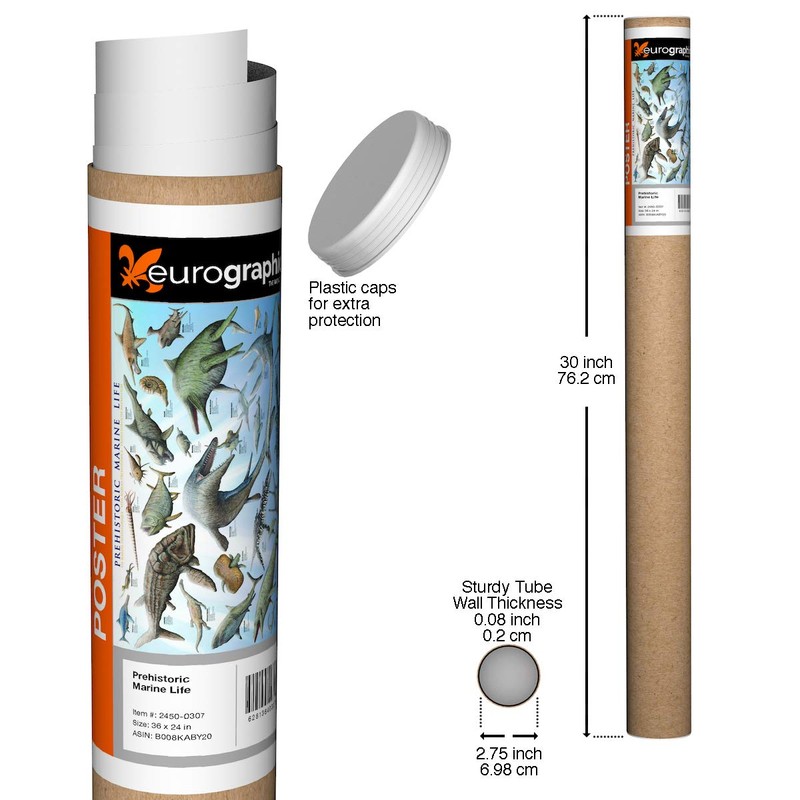 EuroGraphics Prehistoric Marine Life Poster, 36 x 24 inch