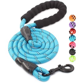 BAAPET 2/4/5/6 FT Strong Dog Leash with Comfortable Padded Handle and Highly Reflective Threads for Small Medium and Large Dogs