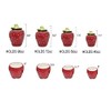 Tuscany Strawberry Shaped, Set of 4 Canisters, 83501 by ACK