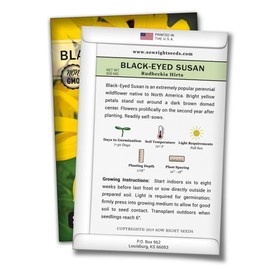 Sow Right Seeds - Black Eyed Susan Flower Seeds for Planting, Beautiful Flowers to Plant in Your Garden; Non-GMO Heirloom Seeds; Wonderful Gardening Gifts (1)