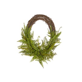 Oval Mixed Fern Wreath, 28" by RAZ Imports, Inc