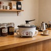 Upgrade Electric Coffee Bean Roaster 110V/800W 1.6Lb Capacity with Timer