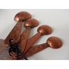 Alaska Forget Me Not Stainless Steel Measuring Spoons (Copper)