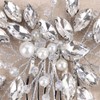 Teyglen Bride Crystal Wedding Hair Comb Bridal Headpiece Handmade Silver