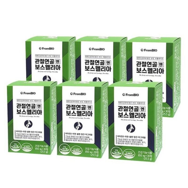Lee Byung-hun From Bio Joint Cartilage Boswellia 30 Tablets x