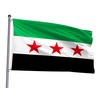 Free Republic of Syria Syrian Flag 4x6FT Green Stripe and