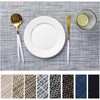 LEXMORE Placemats Set of 4 Vinyl/Plastic Woven Place Mats for