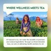 Classic Green Tea Bags (3.53oz/100gm), Loose Leaf 50 Pyramid Teabags,