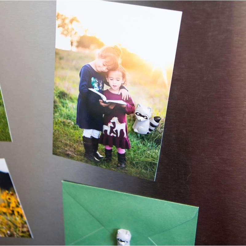 Three by Three Seattle Playful Raccoon Magnets | Adorable, Strong,