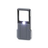 Carson Minibrite Lupa