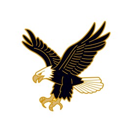 1.25" Eagle Soft Enamel Pin – Eagles Bird Lapel Pins Brooches for Backpacks, Jackets, Hats, Clothes, Bags, Teens, Girls, Boys – Pinback Buttons & Charms
