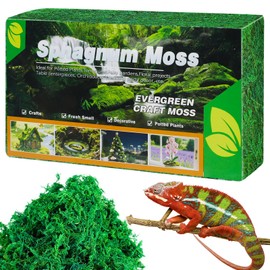 OMJMYY 300g Sphagnum Moos Spagnummoos für Pflanzen Orchideen Terrarium Blumenerde Sphagnum Moss Premium Naturprodukt Torfmoos für Reptilien Lebendes Geckos Schlange Schildkröten Frösche