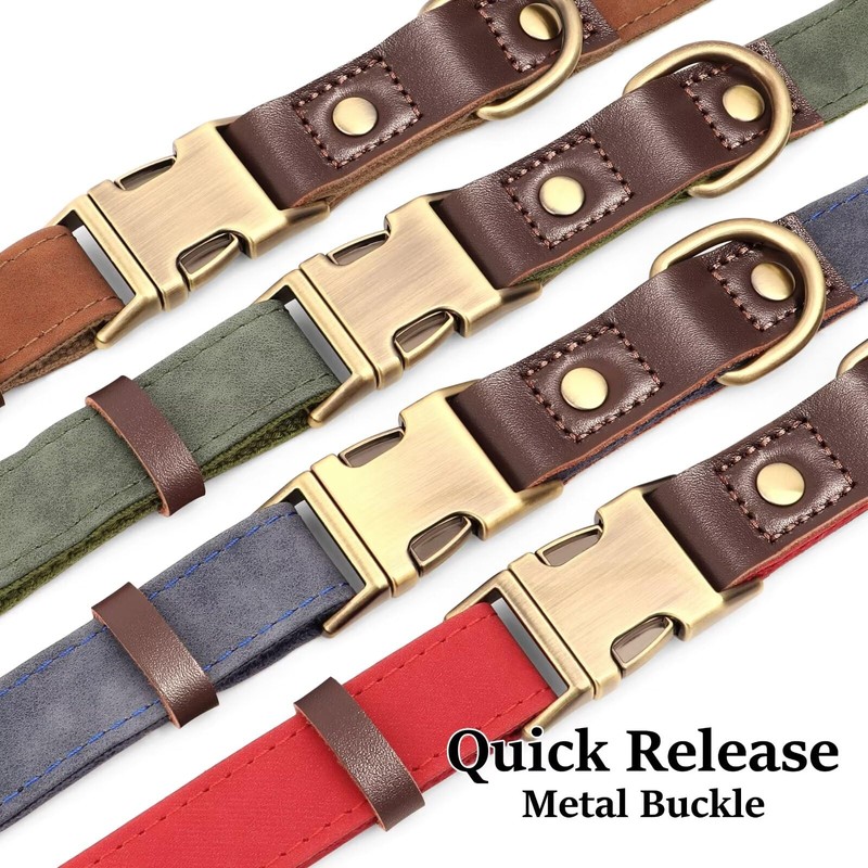 Didog Soft Padded Leather Collar for Medium Dogs Classic Dog