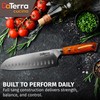 DaTerra Cucina - 7 Inch Santoku Knife – German Steel