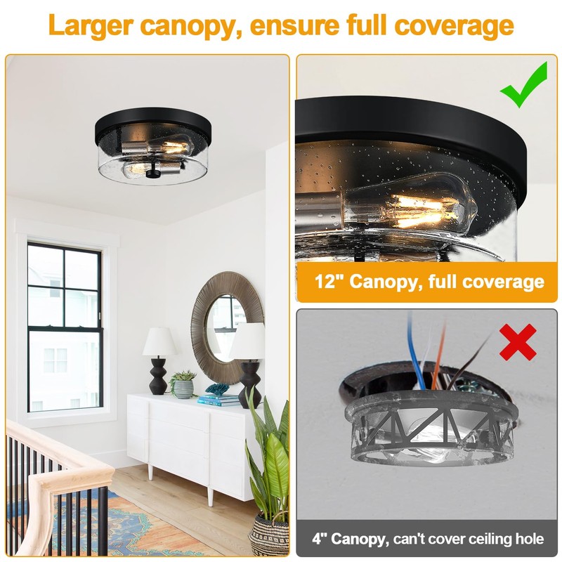 Flush Mount Ceiling Light Fixtures, 2-Light Black and Silver Ceiling