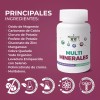 Pasiguaro Kit 2 Multiminerales 100 Cápsulas De 500 Mg Rinde
