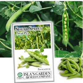 Sugar Sprint Snap Pea Seeds for Planting, 25+ Heirloom Seeds Per Packet, (Isla's Garden Seeds), Non GMO Seeds, Botanical Name: Pisum sativum, Packaged for 2024 Growing Season, Great Home Garden Gift