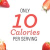 Skinnygirl Sugar Free Kosher Preserves, Strawberry, 10 Ounce (Pack of