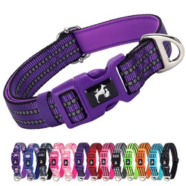 Reflective Dog Collar- Soft Neoprene Padded, Breathable Nylon, Durable & Adjustable - Stylish & Safe for Medium, Large & Extra Large Dogs Gift for Boys, Girls Pet Collars -Purple L