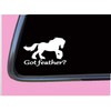 Gypsy Vanner Horse got feather Sticker TP 1302 vinyl 6"