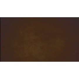 Concrete Resurrection Fast Drying Concrete Stain-Professi