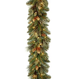 National Tree Carolina Pine Garland with Clear Lights, 9 Feet
