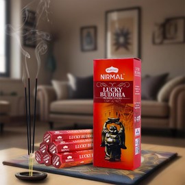 Hexa Lucky Buddha Incense Sticks - Pack of 6 Incense, 120 Sticks for Calming, Stress-Relief and Mindful Meditation | an Eco-Friendly, Non-Toxic and Unique Aromatic Incense Sticks by Shubhkart