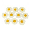 10 Pcs Cute Crochet Daisy Patches for Clothing, Sew-on Floral