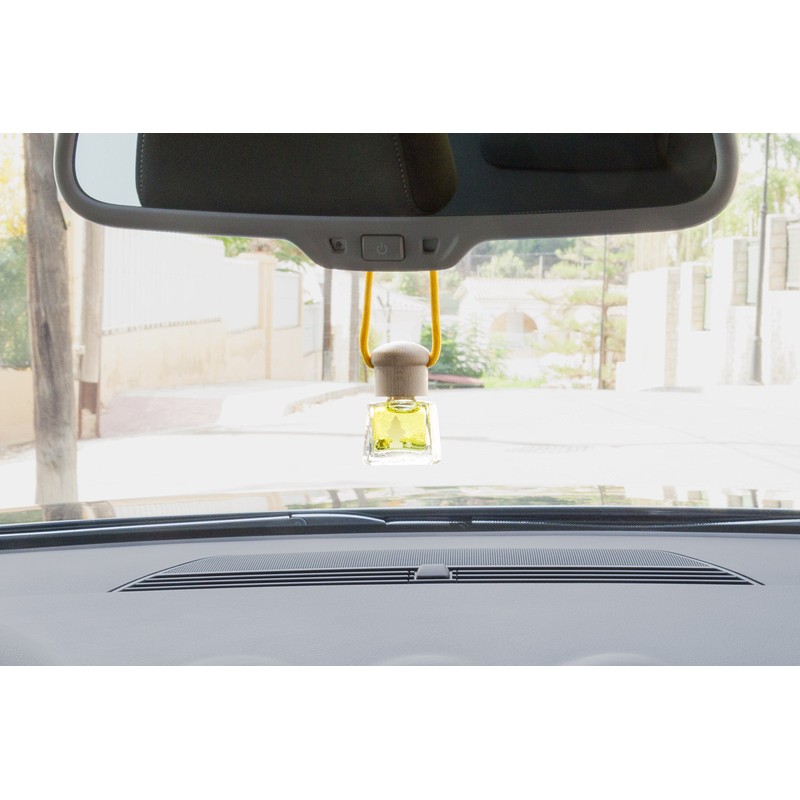 WUNDER-BAUM Duftflakon I Langanhaltender Duft im Auto oder zu Hause