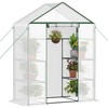Greenhouse for Indoor Outdoor, Walk in Plants Green House with