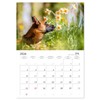 Malinois Magic: The Belgian Powerhouse (Monthly Wall Calendar 2026 11.7"