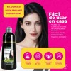 Shampoo Tinte Instantáneo Cubre Canas Natural Jengibre 500ml