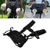 Pyhodi Portable Front Chest Pet Cat Dog Carrier Backpack, Adjustable