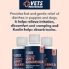 Vets Preferred Anti-Diarrhea & Gas Relief for Dogs – Kaolin