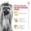 Royal Canin Breed Health Nutrition Yorkshire Terrier Adult Dry Dog