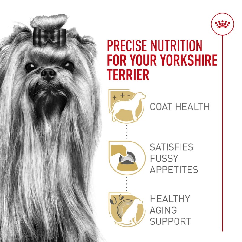 Royal Canin Breed Health Nutrition Yorkshire Terrier Adult Dry Dog